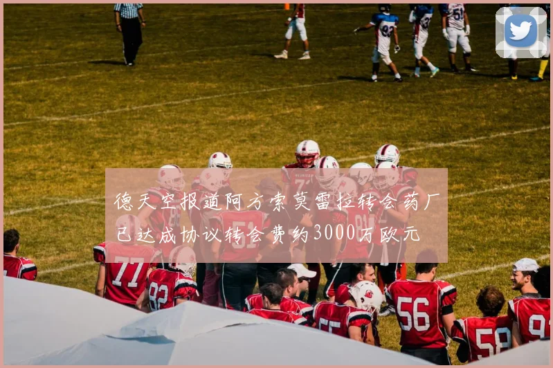 德天空报道阿方索莫雷拉转会药厂已达成协议转会费约3000万欧元