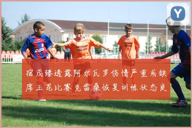 宿茂臻透露阿尔瓦罗伤情严重或缺席玉昆比赛克雷桑恢复训练状态良好